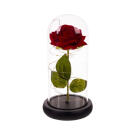 Trandafir cu LED-uri Incorporate si Petale in Cupola de Sticla - 22 x 11,5 cm