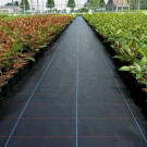 Agrotextil Negru pentru Buruieni - 70g/m2 - 0,8 x 100 m