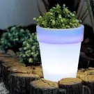 Ghiveci Solar cu 4 LED-uri Albe Reci - 16,5 x 19 cm