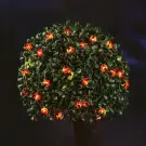 Ghirlandă solară LED cu forme de gărgărițe, 2,4 m, 25 LED-uri alb cald