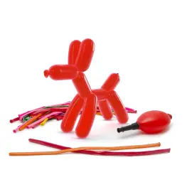 Set de Baloane Pliabile cu Pompă