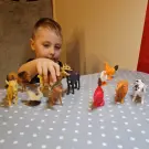 Set Figurine Animale - 12