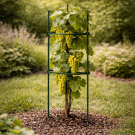 Suport pentru Plante DIVODV Triunghiular 120 cm
