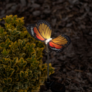 Lampa Solara LED - Model Fluture